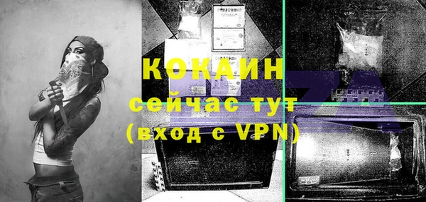 МДПВ Краснослободск