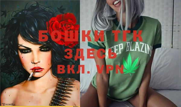 СК Козельск